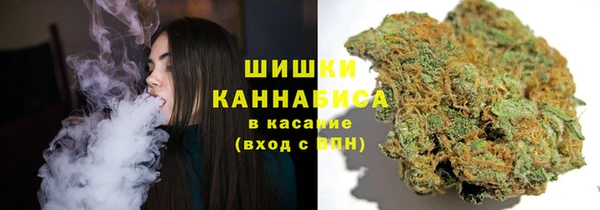 ПСИЛОЦИБИНОВЫЕ ГРИБЫ Кодинск