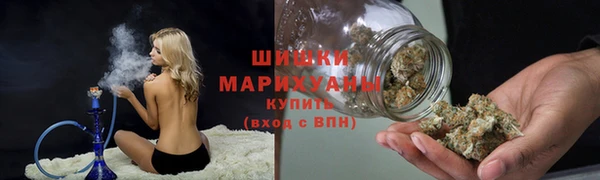 гашик Коряжма