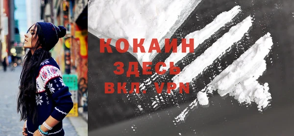 гашик Коряжма