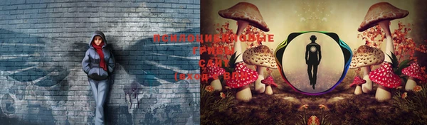 не бодяженный Корсаков
