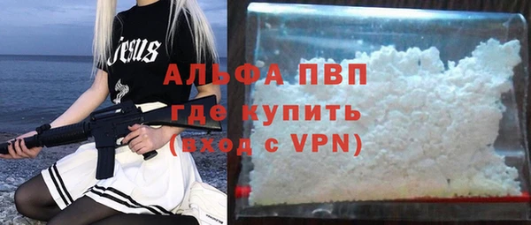гашик Коряжма