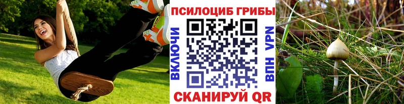 Галлюциногенные грибы ЛСД  Ува 